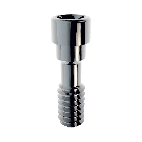 Straight Screw M2 L6,7mm Torx T6 TSTR2L67