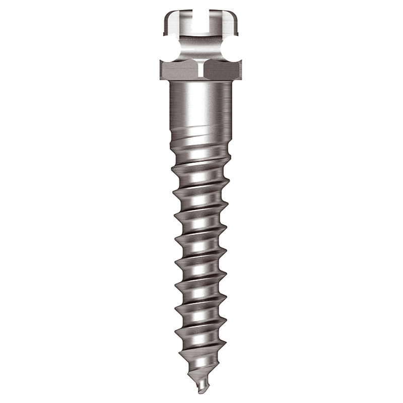 Osstem Oikomisruuvi (Bracket Head) Orthodontic Screw