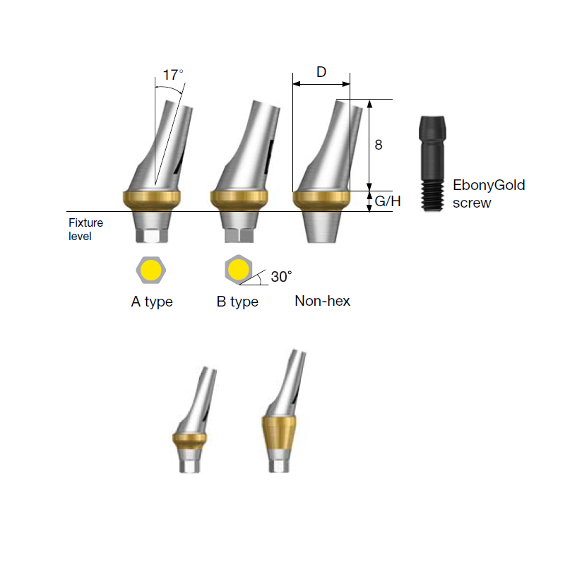 Osstem TS Angled Abutment