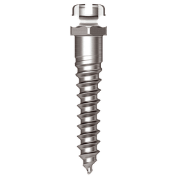 Osstem Oikomisruuvi (Bracket Head) Orthodontic Screw