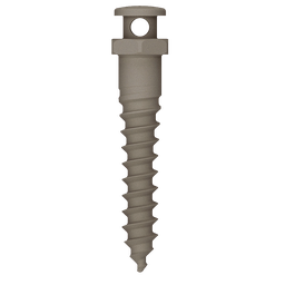 Osstem Oikomisruuvi (Etching Surface) Orthodontic Screw